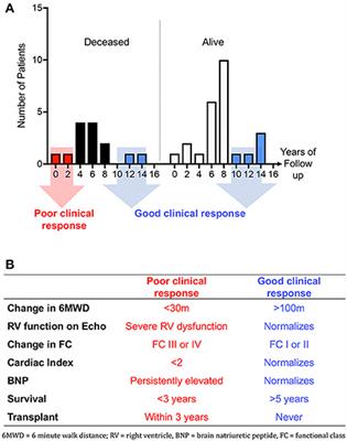 Using Omics to Understand and Treat Pulmonary Vascular Disease